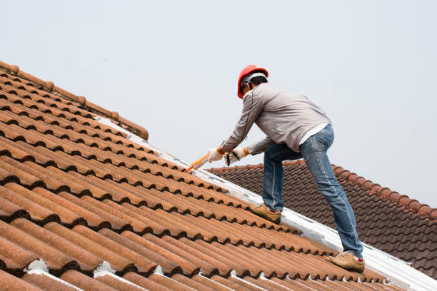 Best Roof Maintenance and Cleaning  in Dano, CO